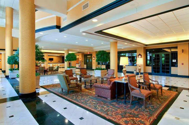 מלון קנר Hilton New Orleans Airport מראה פנימי תמונה